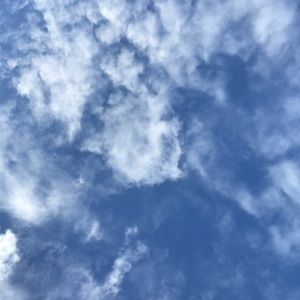 Meet your Posher, Bryan